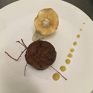 Kastanje-chokoladekage med æble og valnøddeis
